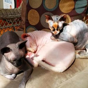 Meet your Posher, Gail